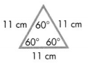 Envision Math Common Core Grade 5 Answer Key Topic 16 Geometric Measurement Classify Two-Dimensional Figures 4.20